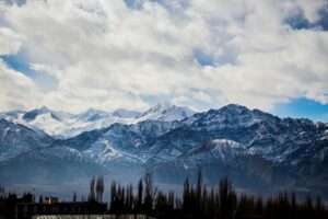 pexels-shashank-879443